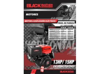 MOTORES A EXPLOSION BLACK PANTHER CON ARRANQUE ELECTRONICO MOTOR 15 HP
